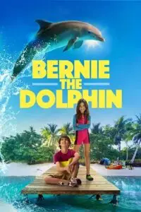 bernie the dolphin 2018