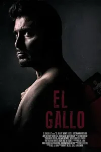 el gallo 2018