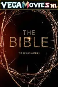 the bible 2013