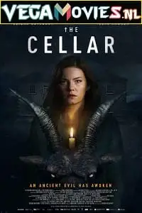 the cellar 2022
