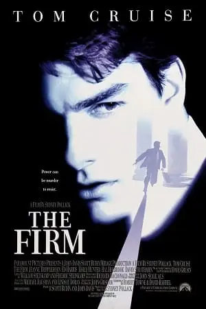 the firm 1993