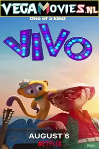 vivo 2021