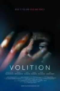 volition 2019