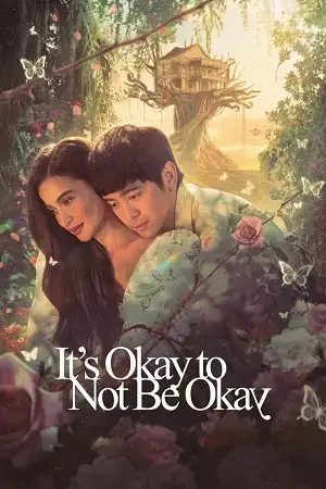 Download It’s Okay to Not Be Okay (Season 1) Hindi ORG Dubbed Series 480p 720p & 1080p WEB DL